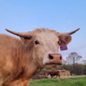 Meet your Posher, Kendall